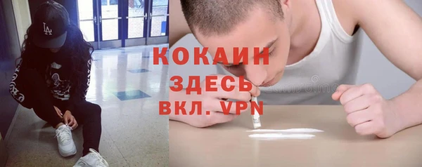 дмт Верея