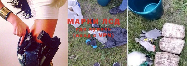 дмт Верея