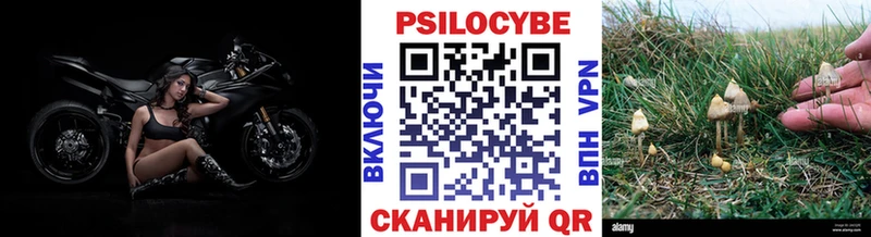 Галлюциногенные грибы MAGIC MUSHROOMS сайты даркнета официальный сайт Новоржев даркнет сайт